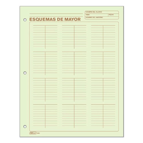 Hoja Esquema De Mayor